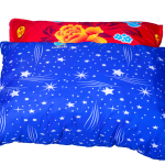 Ordinary Pillows